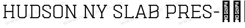 Hudson NY Slab Pres字体转换